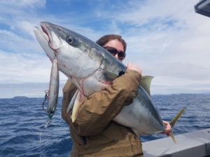 Slow trolling lures for kingfish on Epic Adventures