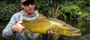 Nice trout - Epic backwater trout adventures