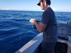 Hooked up on another Whitianga Kingfish with Epic Adventures