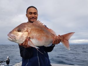 Solid Whitianga Snapper on KAOS - Epic fishing charters