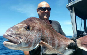 Beautiful Coromandel Snapper on Epic Fishing charters